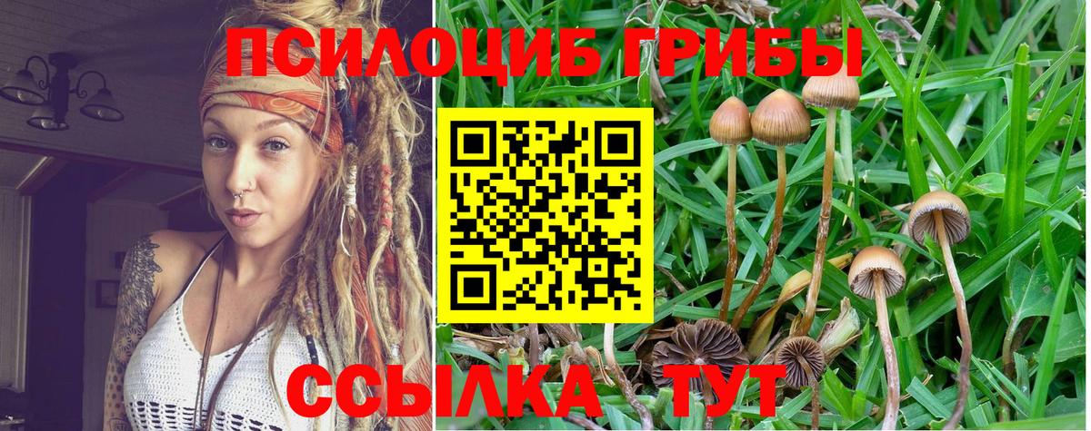 Псилоцибиновые грибы Magic Shrooms Богданович